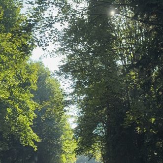 Suflete al meu, de ce nu te supui tu rațiunii?