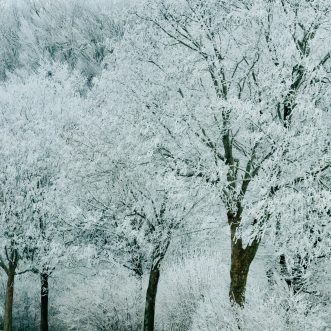 La sfârșitul anului